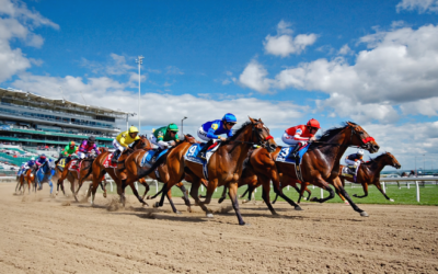 The Cheltenham Roar: Igniting the Spectacle