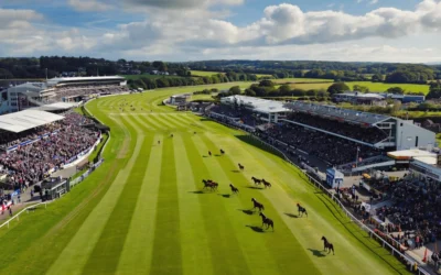 Cheltenham Festival: The Titans of Training