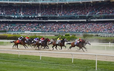 Grand National 2025 Guide